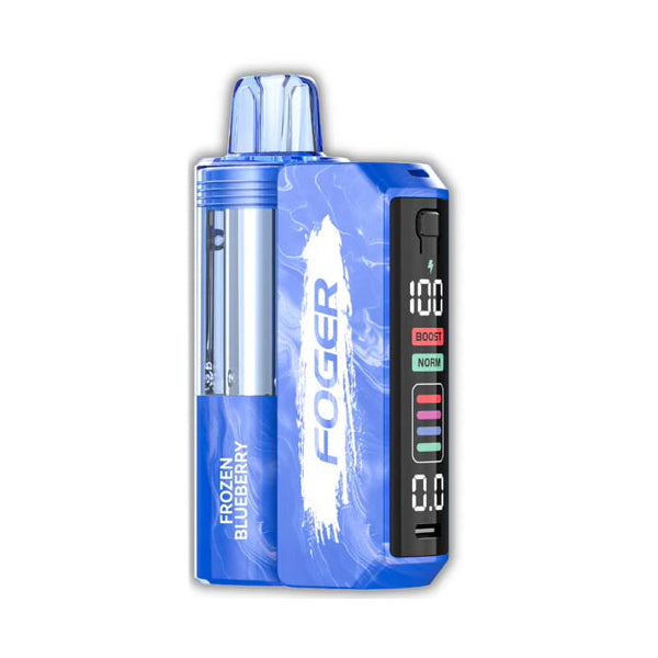 Foger Switch Pro 30K Disposable frozen blueberry
