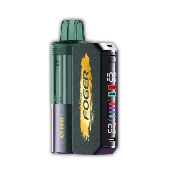 Switch Pro 30000 Puff Disposable Icy Mint