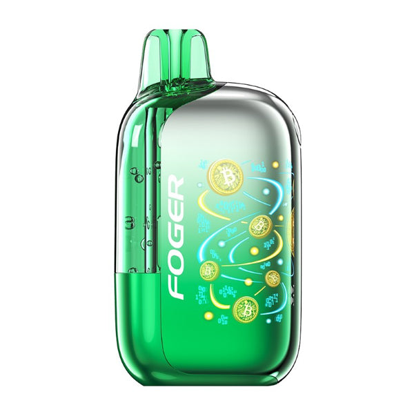Foger Bit 35K Disposable wintergreen