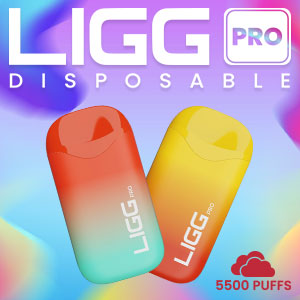 Ligg Pro Disposable 5500 Puffs 14mL 50mg