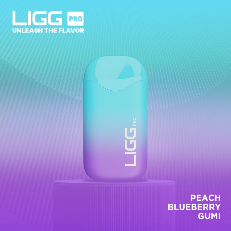 Ligg Pro Disposable 5500 Puffs 14mL 50mg Peach Blueberry Gumi