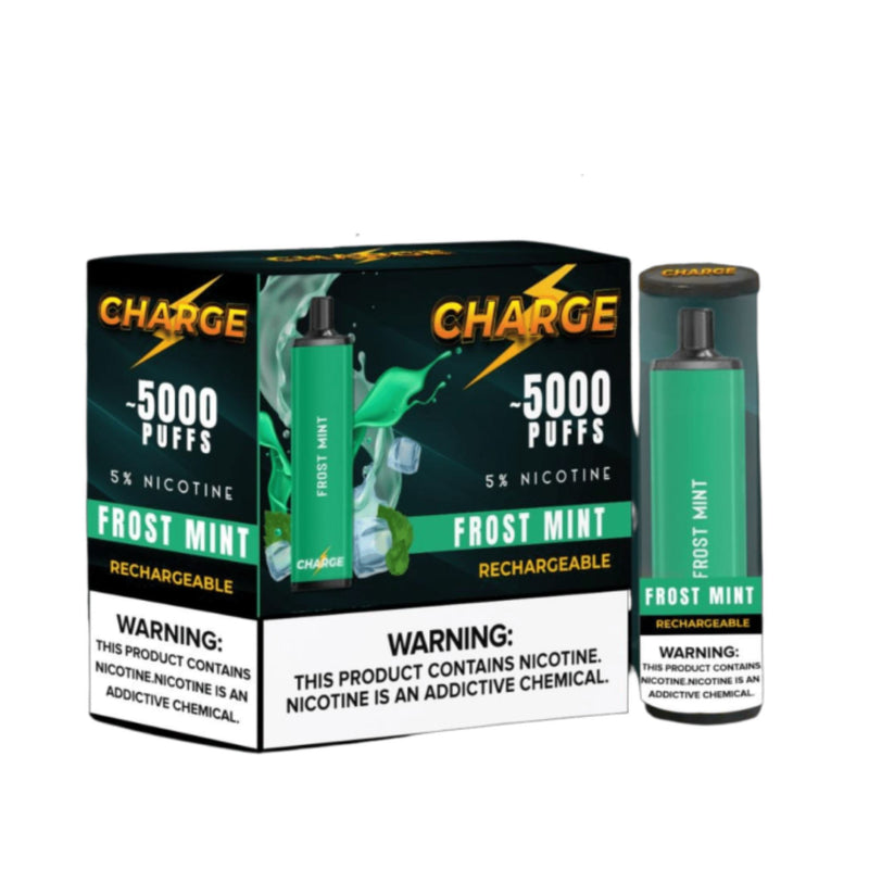Charge Disposable | 5000 Puffs | 12mL frost mint with packaging