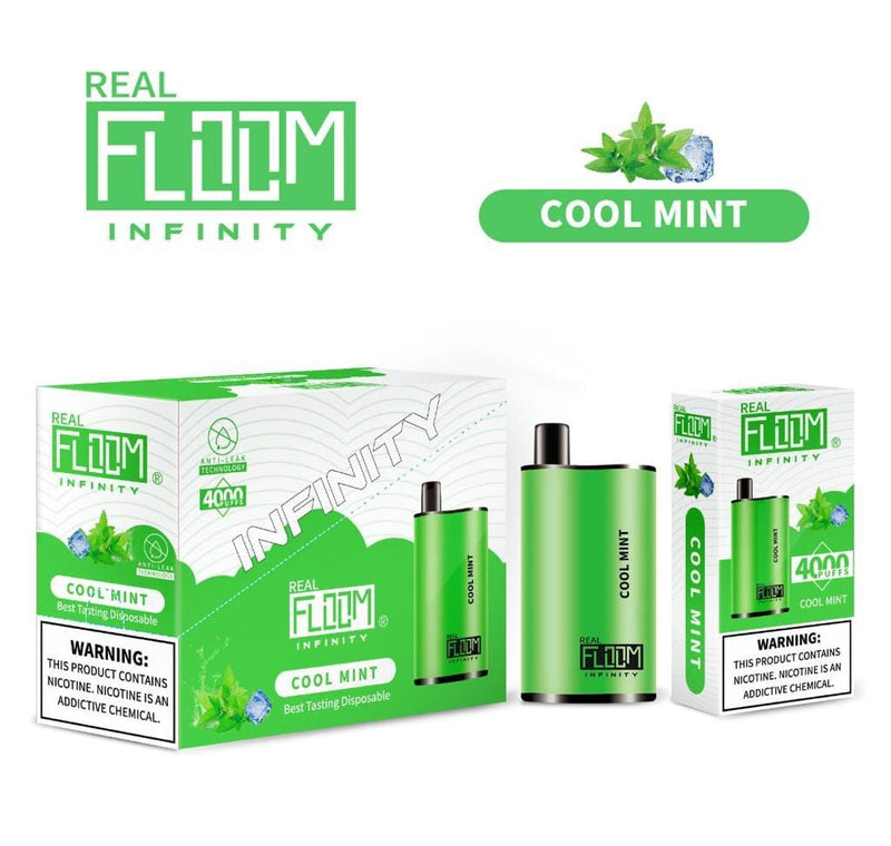 Floom Infinity Disposable | 4000 Puffs | 10mL - Cool Mint with packaging