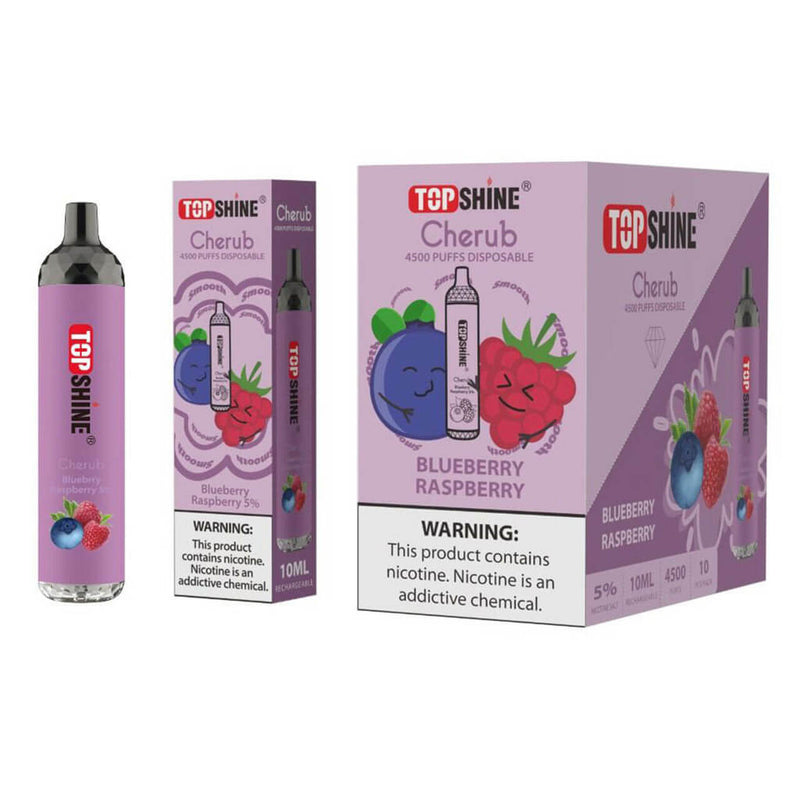 Topshine Disposable 4500 Puffs 10mL blueberry raspberry with packaging